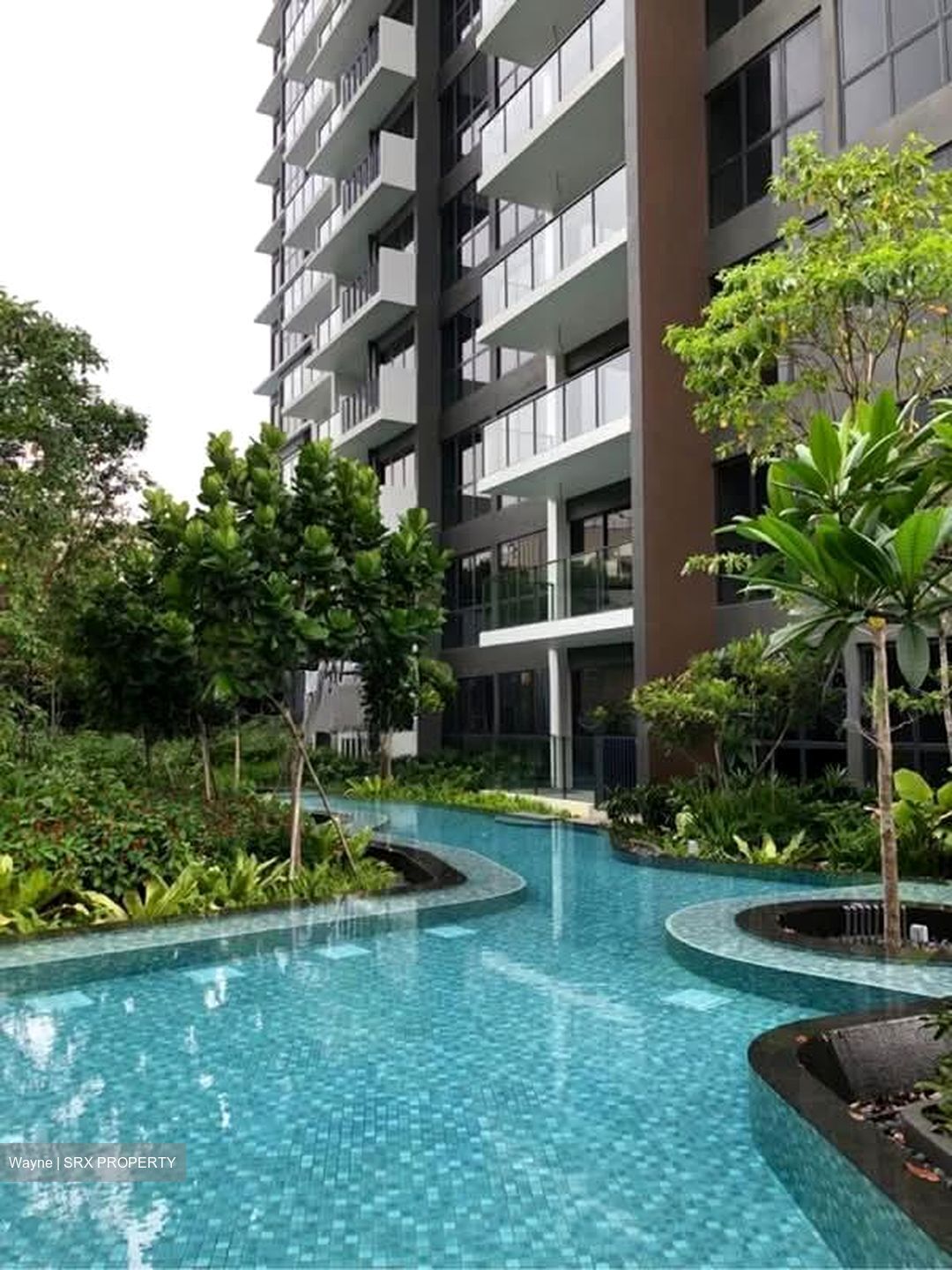 The Clement Canopy (D5), Apartment #560835771